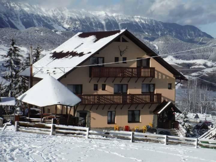 Pensiunea Edera Fundata Exterior foto