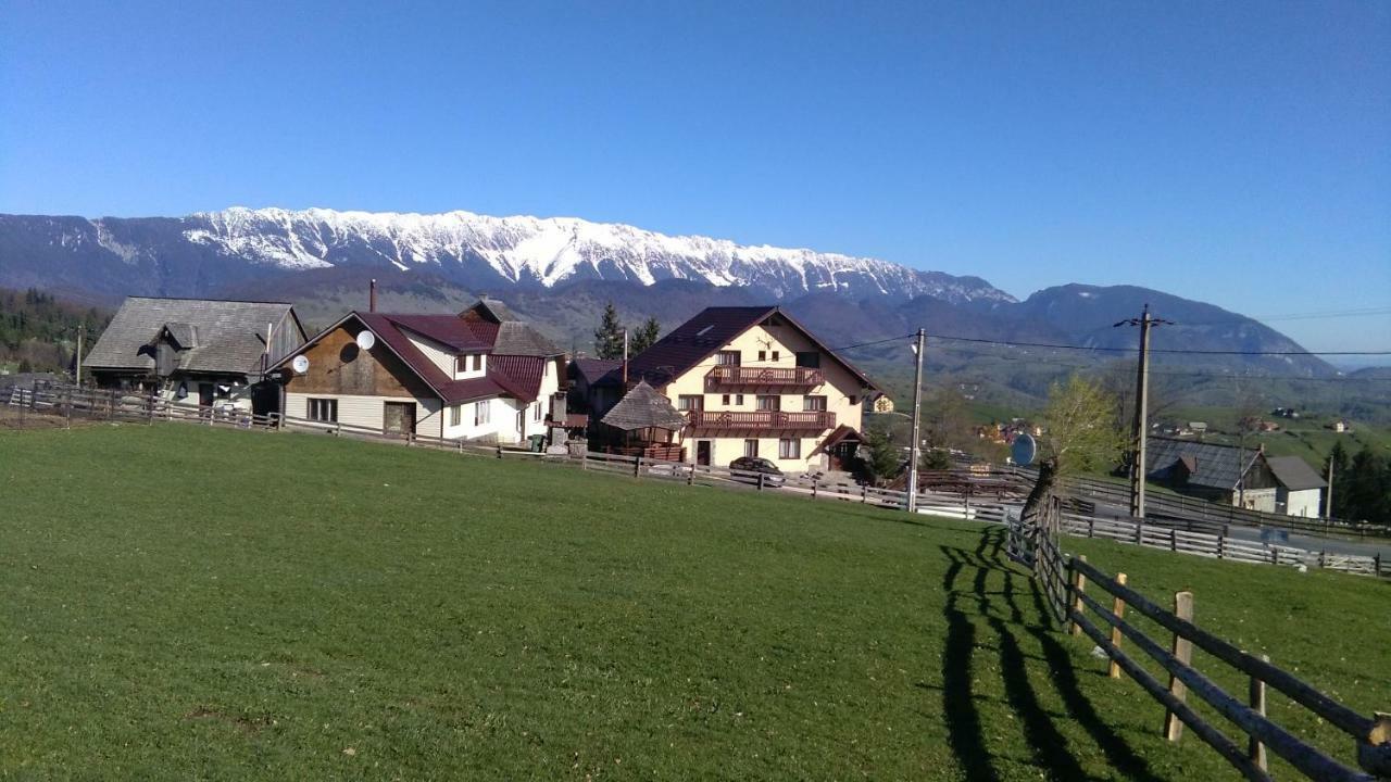 Pensiunea Edera Fundata Exterior foto