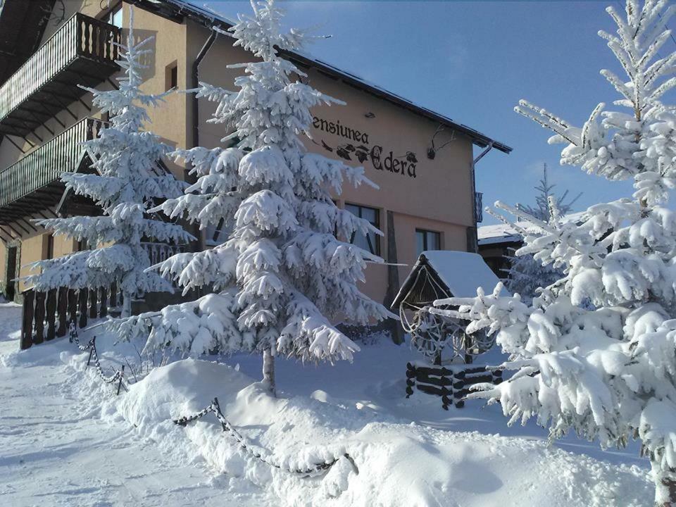 Pensiunea Edera Fundata Exterior foto