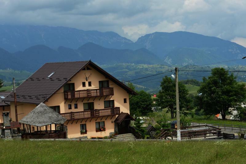 Pensiunea Edera Fundata Exterior foto