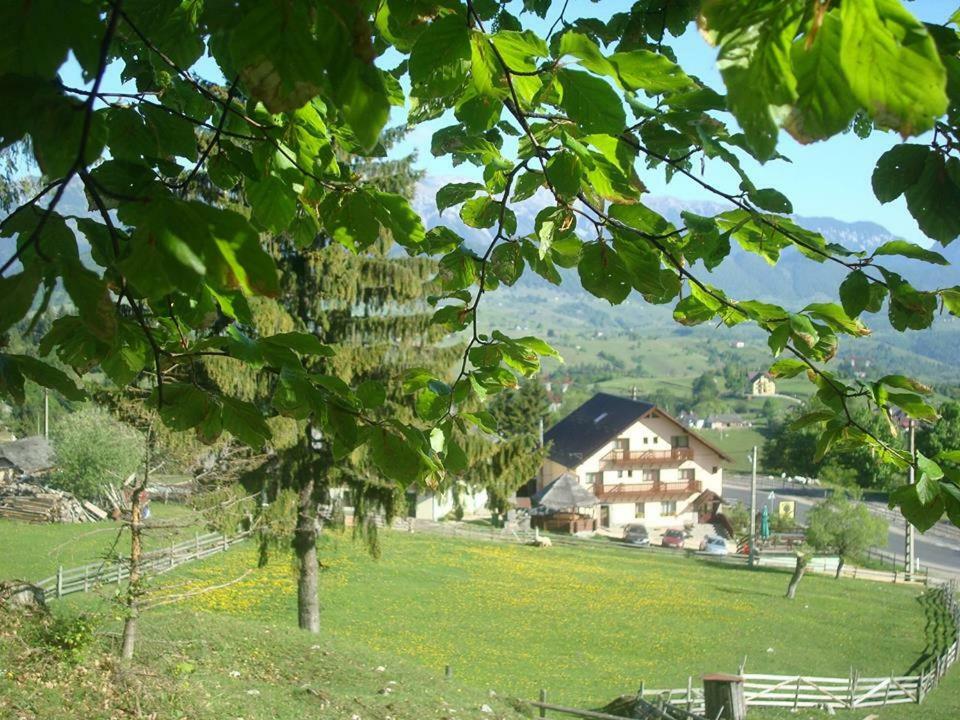 Pensiunea Edera Fundata Exterior foto