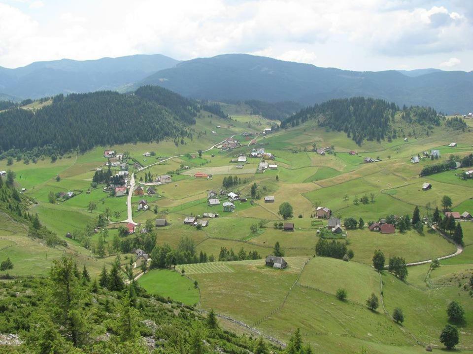 Pensiunea Edera Fundata Exterior foto